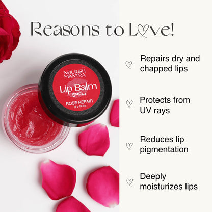 Lip Balm for Dry & Dark Lips